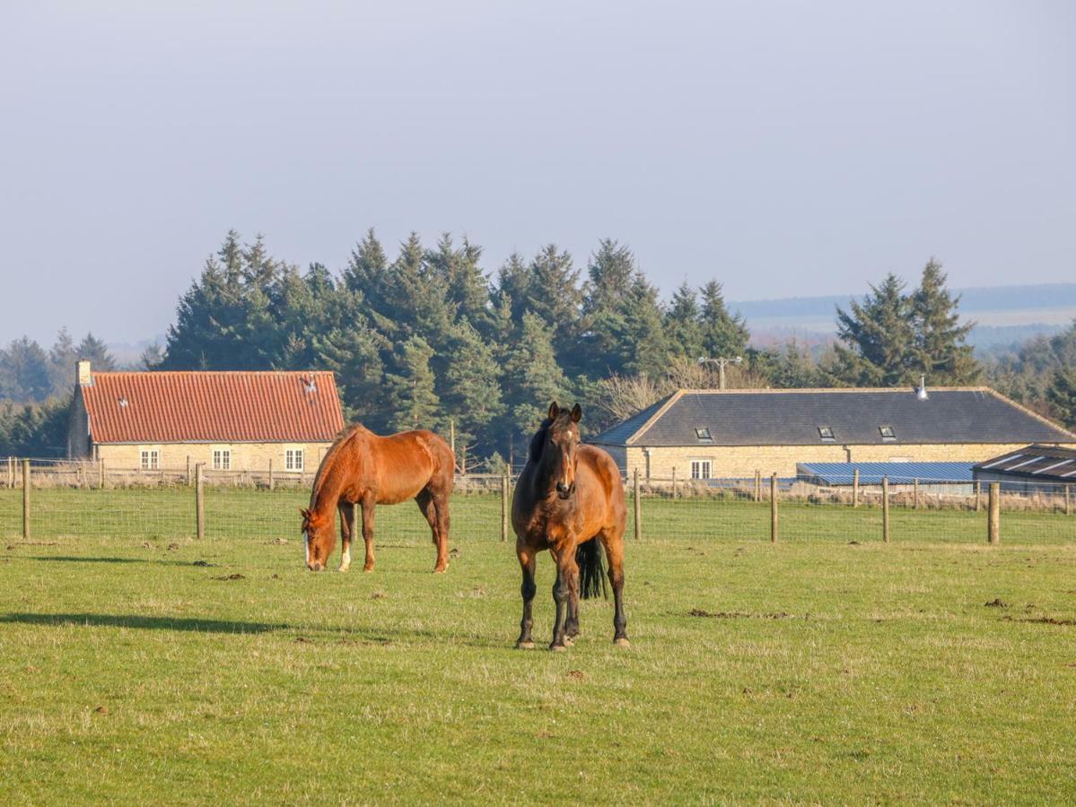 Vila The Byre Thirsk Exteriér fotografie
